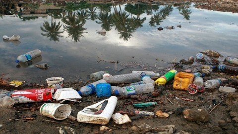 UN’s mission to keep plastics out of oceans and marine life