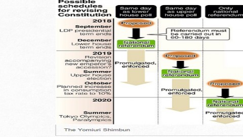 Timing of referendum key to constitutional revision