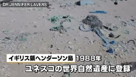 世界自然遺産の島に大量のプラスチックごみ