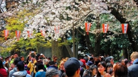中国人観光客激減で大打撃の韓国と台湾、日本だけ「一人勝ち」の理由