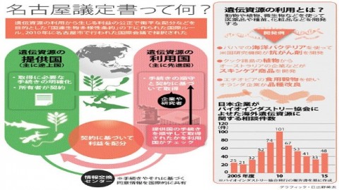 　名古屋議定書　批准を生態系保全の契機に