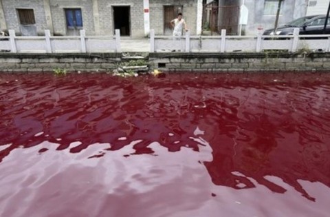 中国の水質汚染、世界の水処理企業が熱視線