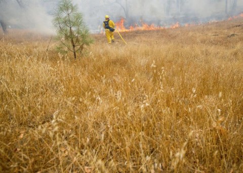 Emails Show USDA Staffers Discouraged From Using the Term Climate Change