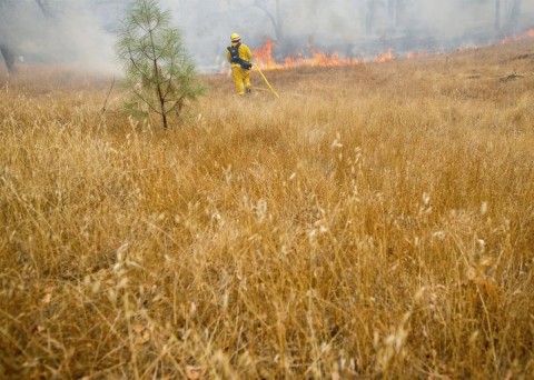 Emails Show USDA Staffers Discouraged From Using the Term Climate Change