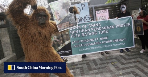 An activist in an orangutan costume protests outside the Chinese Consulate in Medan, Indonesia.