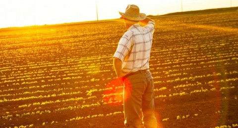無視於美國農民正在承受著中美貿易戰所帶來的苦果，川普政府傳削減美國農業部的預算，並批評農業部對於農民補貼的發放「過於慷慨」。