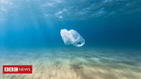 Plastic pollution in the world's oceans is a growing problem