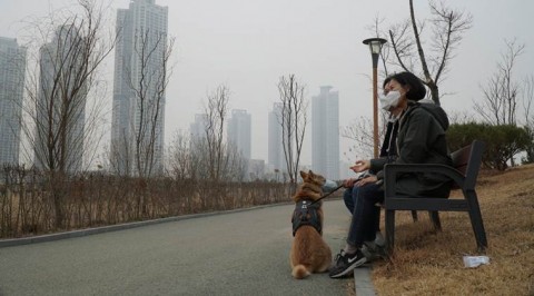 Pork for pollution? How South Koreans fight smog with grease