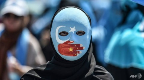 由於中國少數民族的困境，示威者在土耳其集會