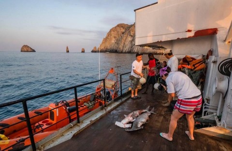 La Fundación Malpelo encontró en el lugar tiburones martillos muertos, además que los invasores anclaron sus embarcaciones a corales de la zona.