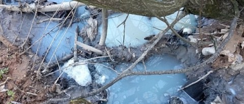 В реку Рахма в Нижнем Новгороде попали неизвестные химикаты