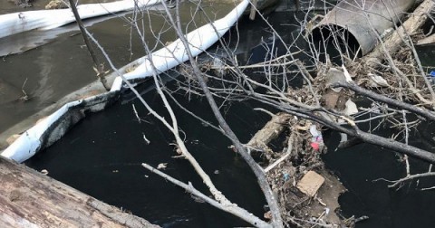 Береговую полосу Волги в Самаре начнут очищать от попавшего в реку мазута 22 мая