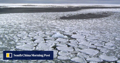 在南極洲的海洋的海冰在2017年1月。