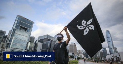 A protester holds up a black version of the Hong Kong bauhinia flag outside Legco on Monday.