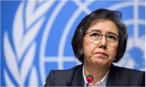  The UN special rapporteur to Myanmar, Yanghee Lee.