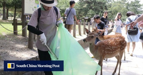 週三，一名志願者在日本奈良的一次清理活動中撿起塑料製品。