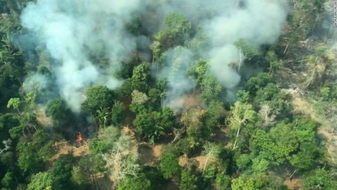 飛越亞馬遜森林大火上空，觸目所及的只有死亡。