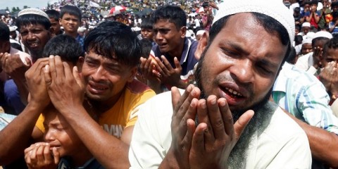 Rohingya