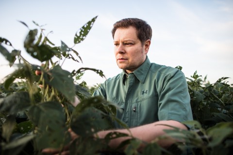 The great nutrient collapse