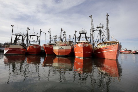 Fishing vessels are docked in New Bedford Harbor in New Bedford Mass., in December. Photo: Steven Semme/AP