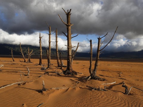 Theewaterskloof Dam in January: The city's single biggest dam is virtually empty following the third consecutive year of little rain. Photo: EPA