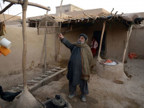 被阿富汗遺忘的吉普賽人正在尋求法律地位