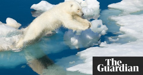  ‘This is an anomaly among anomalies’: temperatures in parts of the Arctic have recently risen well above average. Photo: Ralph Lee Hopkins/National Geographic/Getty Creative/Getty Images