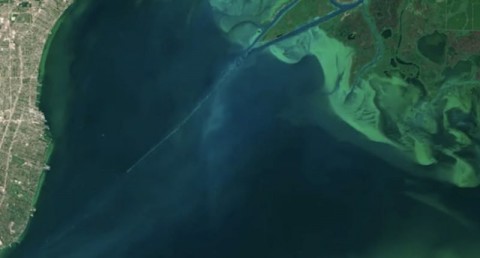 Blooms of algae, like this growth in 2015 in Lake St. Clair between Michigan and Ontario, promote the formation of dead zones. Photo: NASA Earth Observatory