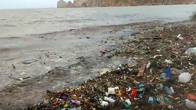 海を汚すプラスチックごみ　メキシコ海岸を覆うごみの量