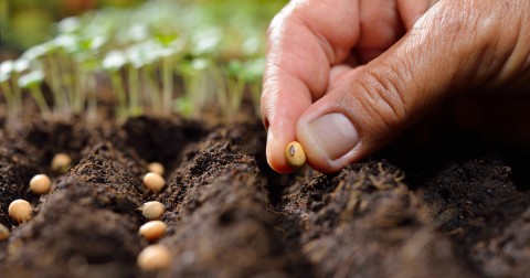 29 states just banned laws about seeds