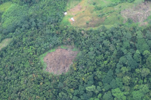 Territorial disputes in Colombian Catatumbo is non-stop.