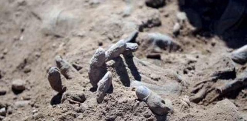 伊拉克摩蘇爾現500具遺骸　2014年遭IS殺害