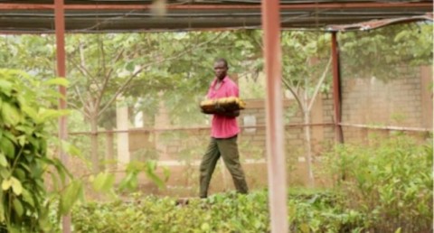 A man walks through a greenhouse in northeastern Uganda where sustainable agriculture techniques such as drought-resistant crops and tree planting are taught, Oct. 19, 2017. Photo: Adelle Kalakout / AP