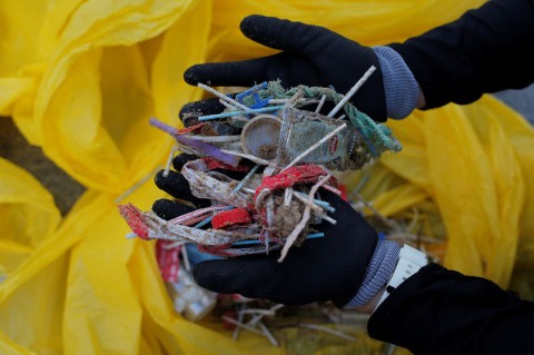 欧州議会、使い捨てプラスチック製品の禁止提案　海洋汚染を防止