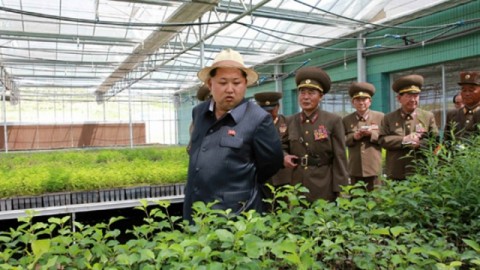 憂食物不足危及首都　北韓要民眾搬離平壤