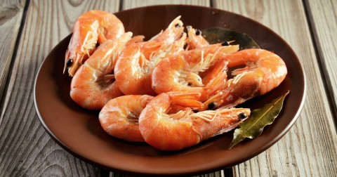 "Largest ever dead zone spells trouble for Gulf shrimp