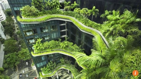 Buildings that blend with nature: why Singapore has them in abundance and Hong Kong does not
